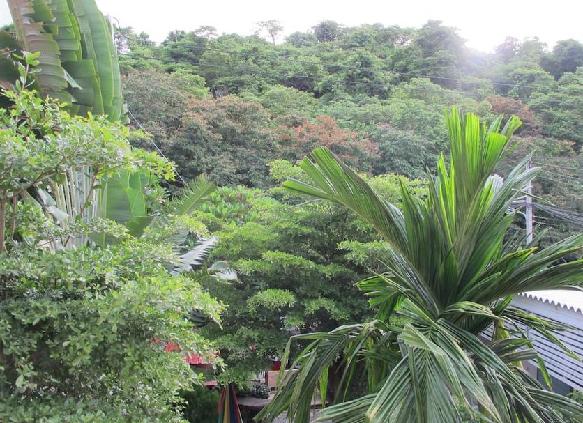 Pemandangan luar Foto