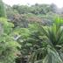 Pemandangan luar