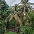 Pemandangan luar