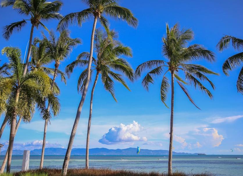Pantai Foto