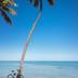 Pantai