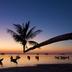 Pantai