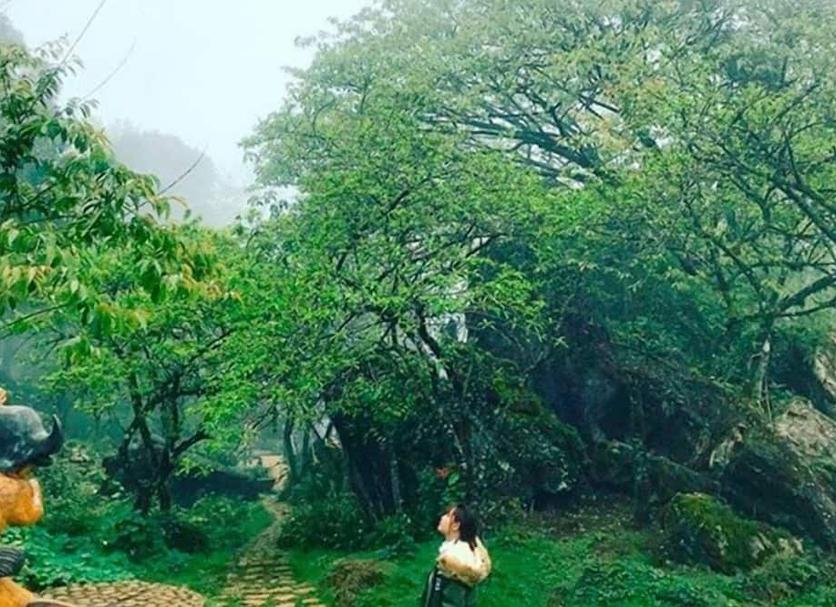 Pemandangan luar Foto