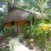 Pemandangan luar