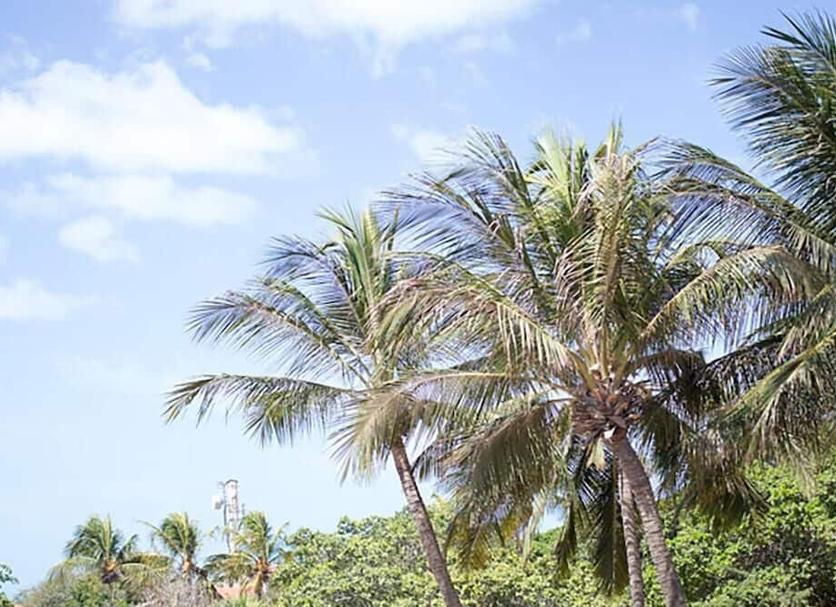 Pemandangan luar Foto