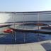 Kolam