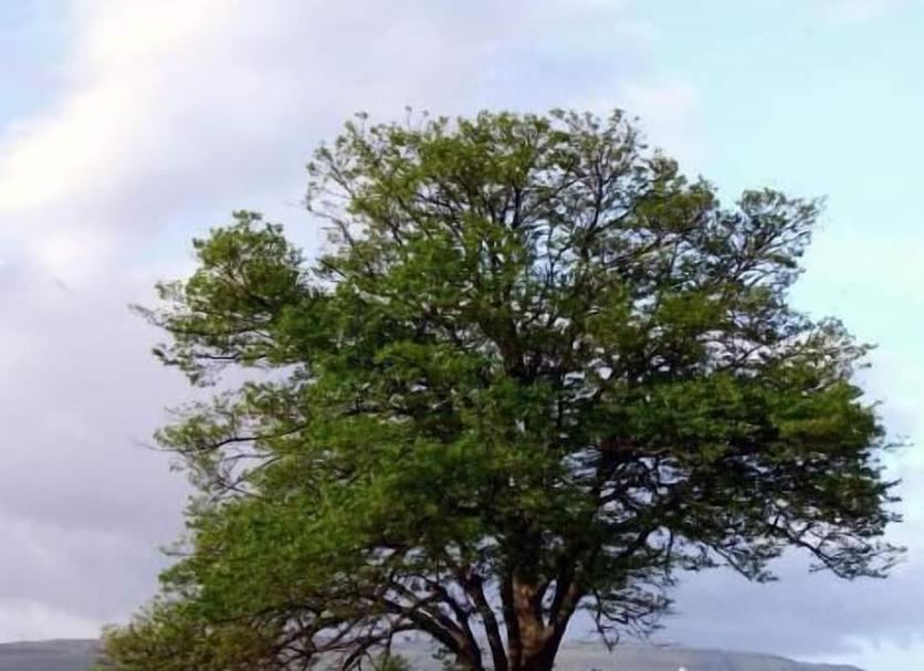 Pemandangan luar Foto