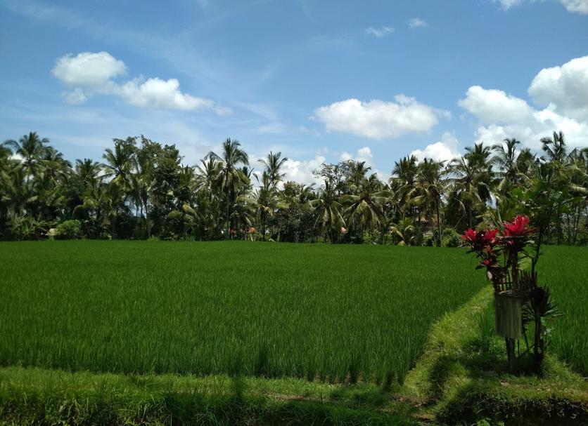 Pemandangan luar Foto