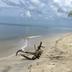 Pantai
