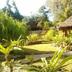 Pemandangan luar