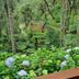 Pemandangan luar