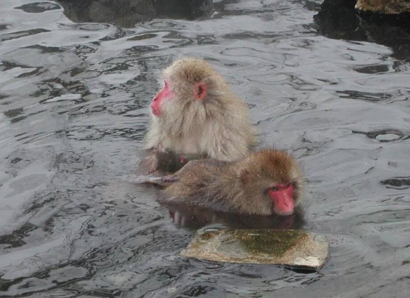 Lainnya Foto
