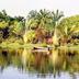 Pemandangan luar