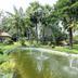 Pemandangan luar