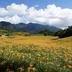 Pemandangan luar