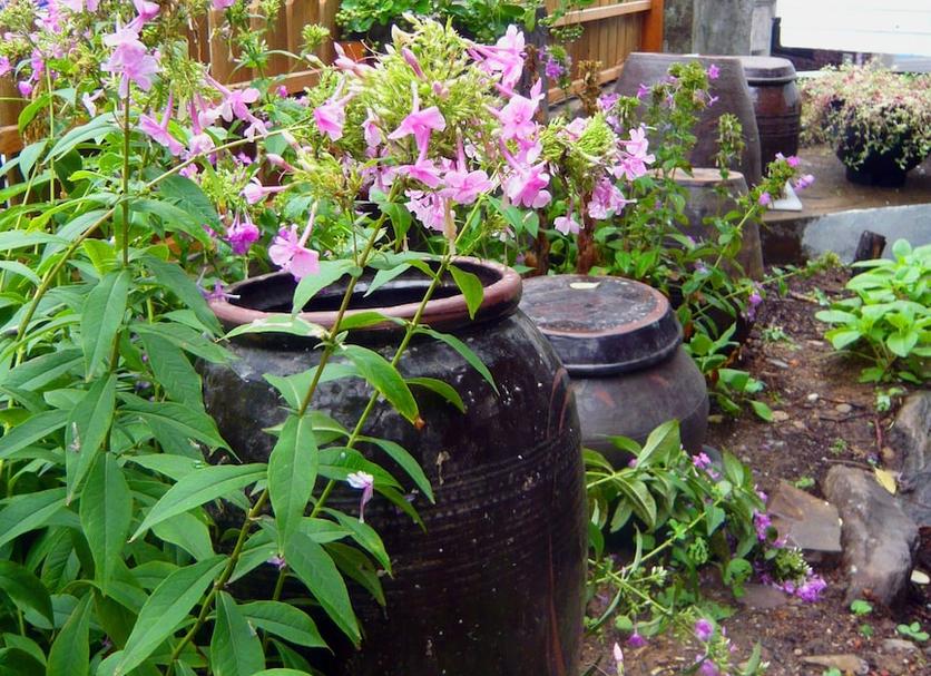 Pemandangan luar Foto