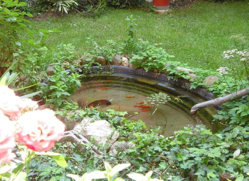 Pemandangan luar Foto