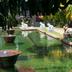Pemandangan luar