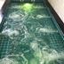 Kolam