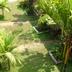 Pemandangan luar