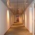 Lorong