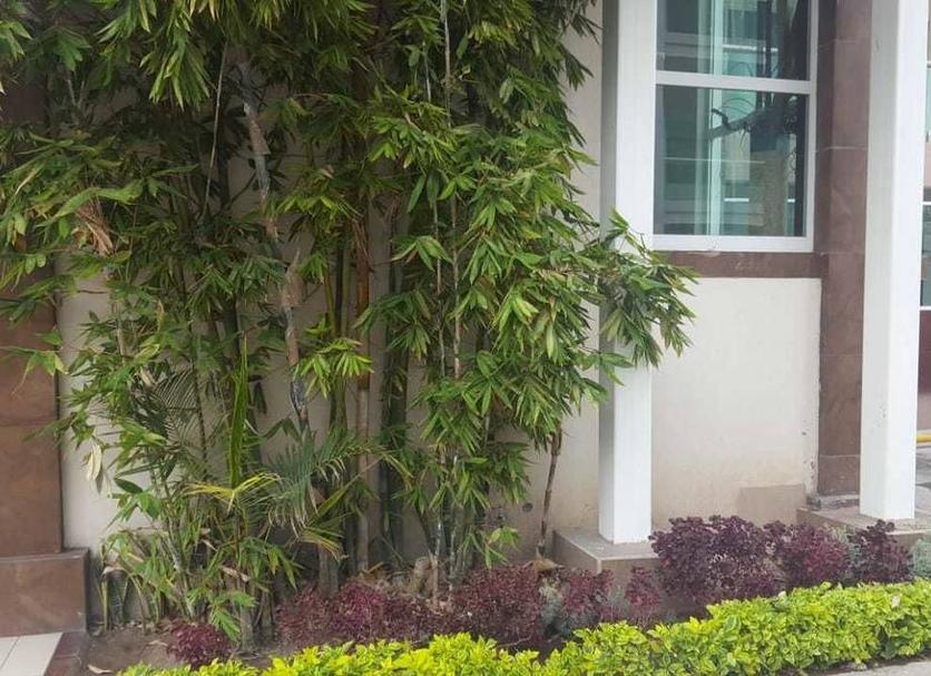 Pemandangan luar Foto