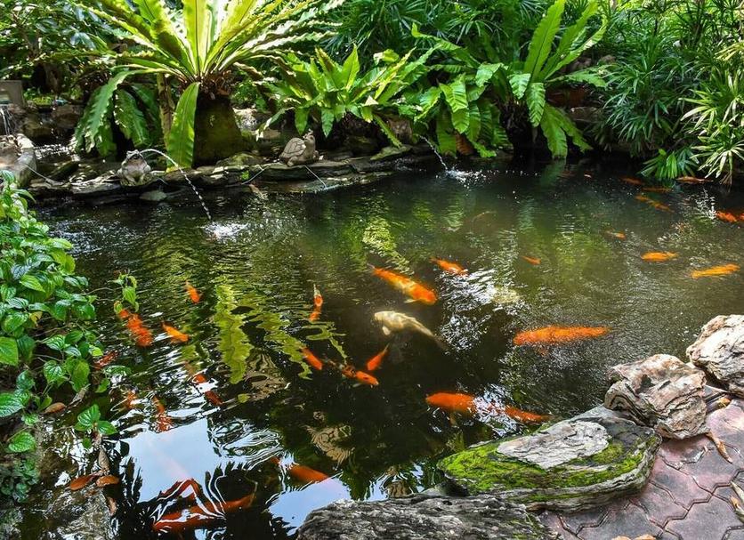 Pemandangan luar Foto