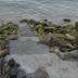 Pantai