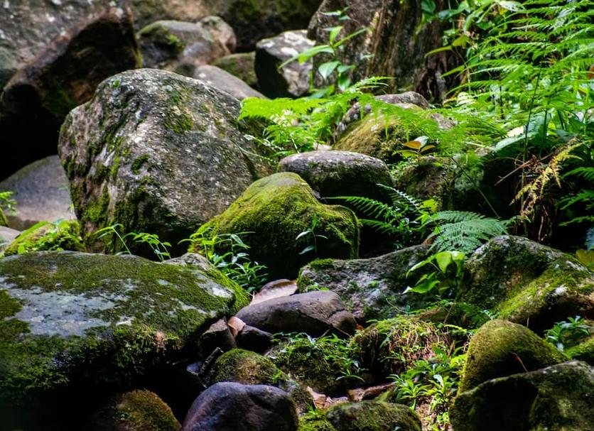 Pemandangan luar Foto