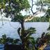 Pemandangan luar