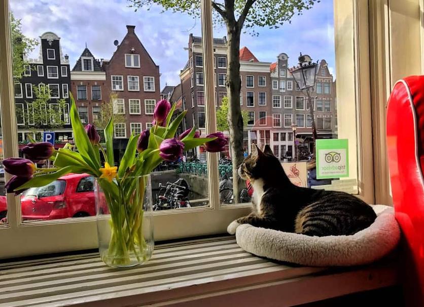 Lainnya Foto