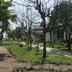 Pemandangan luar