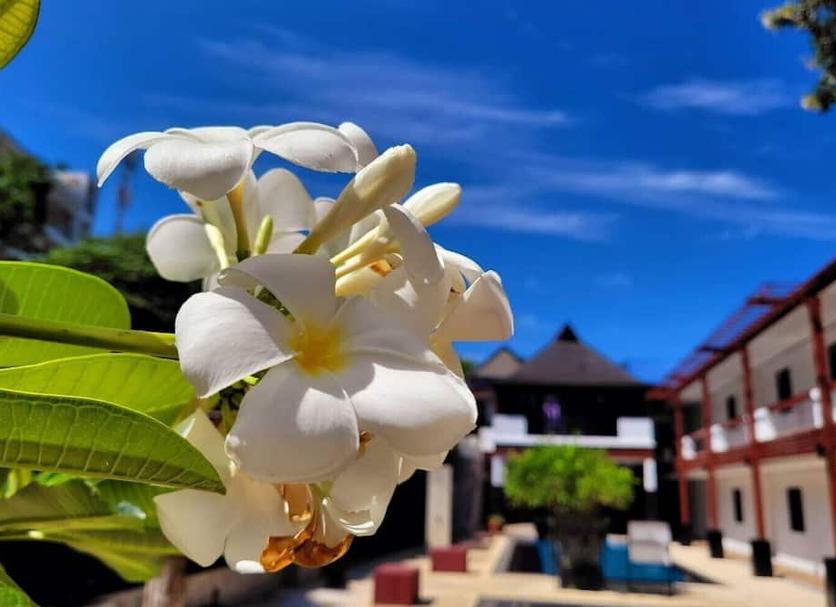 Pemandangan luar Foto