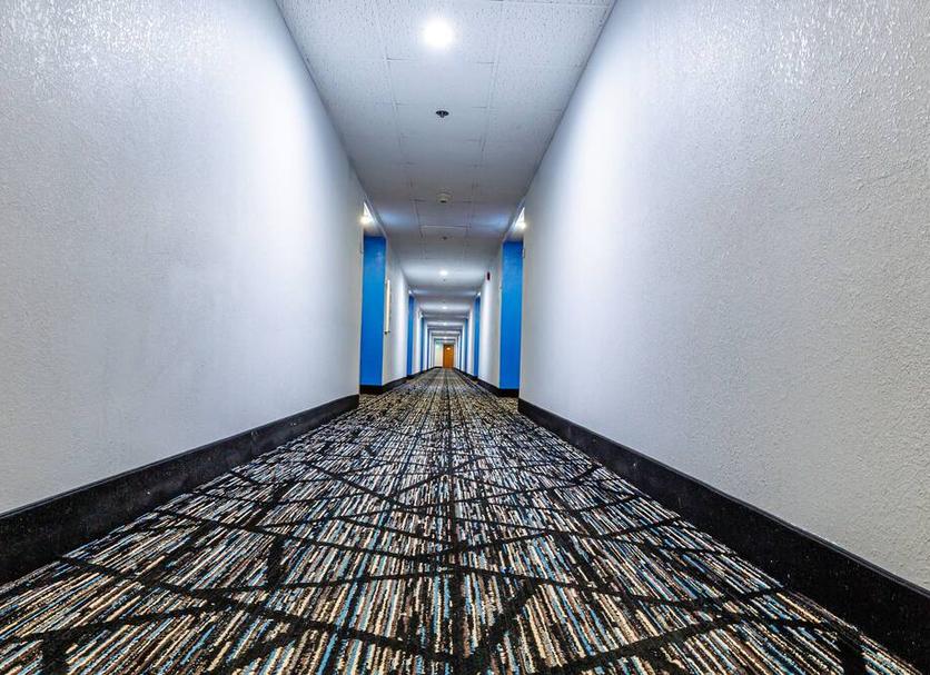 Lorong Foto