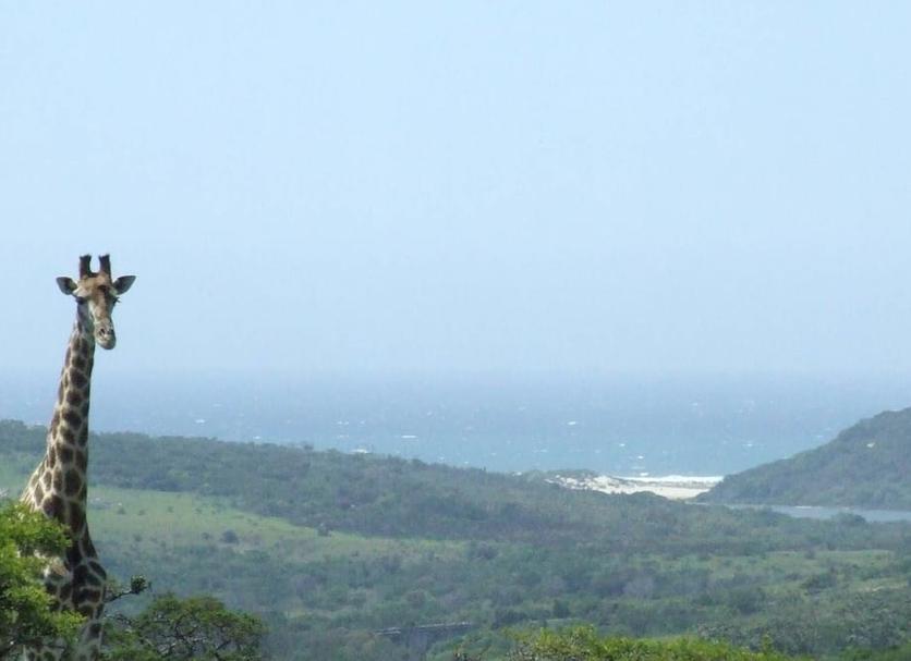 Pemandangan luar Foto