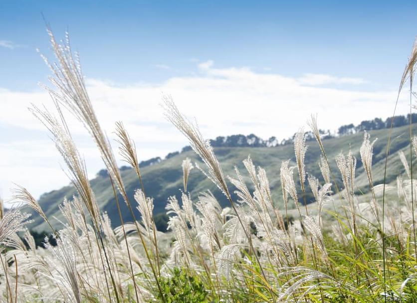 Pemandangan luar Foto