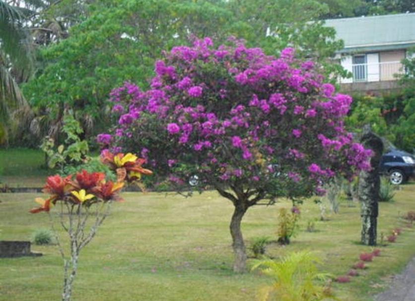 Pemandangan luar Foto