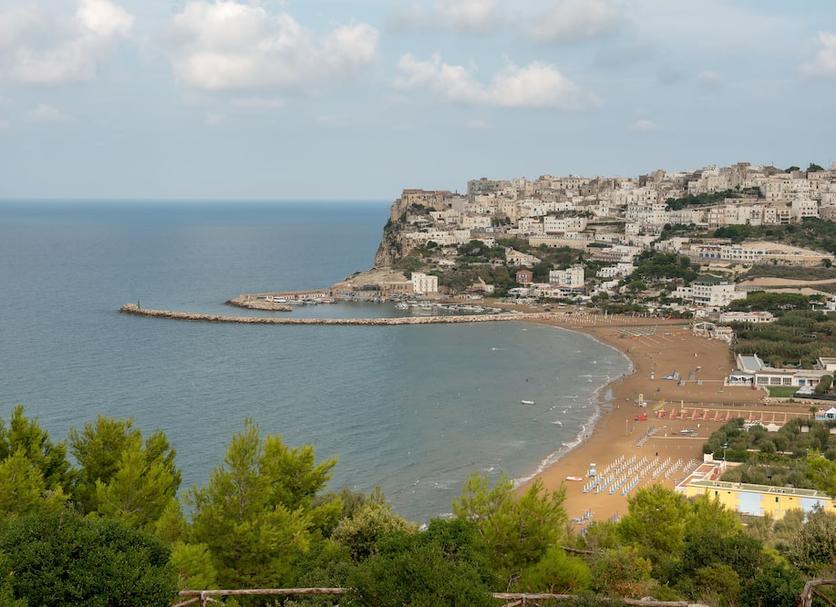 Resepsionis Foto
