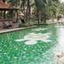 Kolam