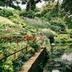 Pemandangan luar