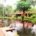 Pemandangan luar