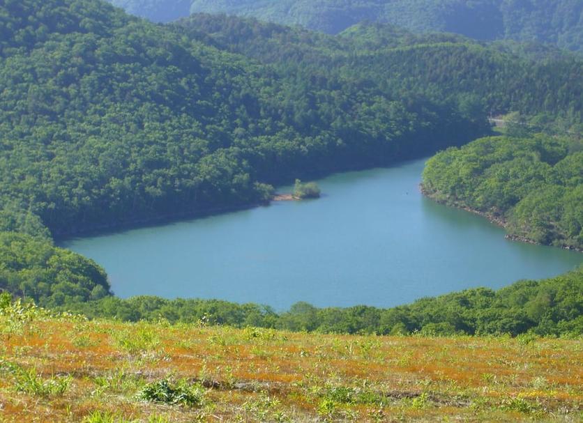 Pemandangan luar Foto