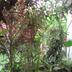 Pemandangan luar