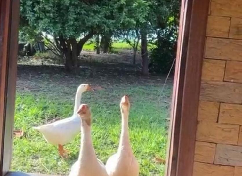 Lainnya Foto