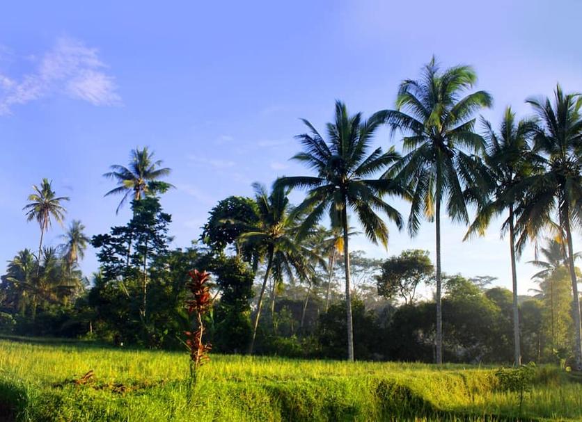 Pemandangan luar Foto