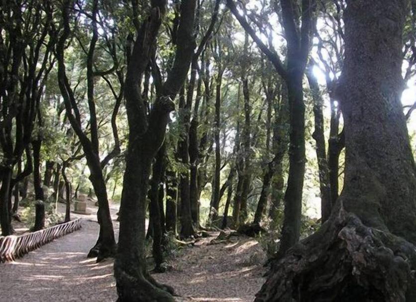 Pemandangan luar Foto