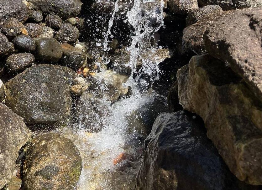 Ruang tamu Foto