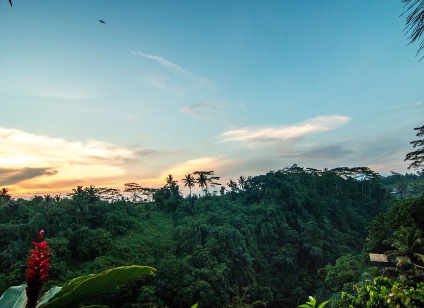 Pemandangan luar Foto