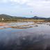 Pemandangan luar
