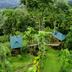 Pemandangan luar
